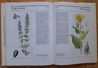 Velka kniha liecivych rastlin - 10
