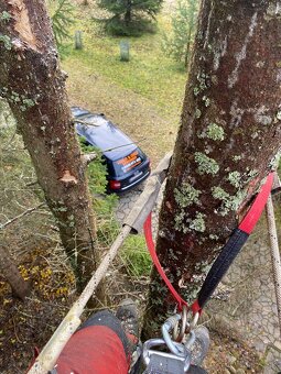 Orazávanie a výrub stromov - 10