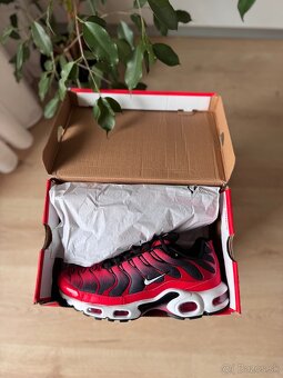 Nike airmax TN [ EU44 ] - 10