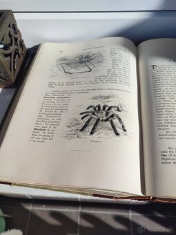 Dve stare knihy - 10