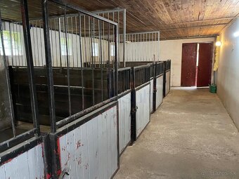 2373 NA PREDAJ JEDINEČNÝ STATOK – HOSPODÁRSKY DVOR - 10