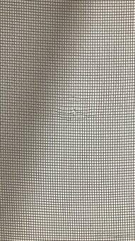 Sieťky proti hmyzu - 10