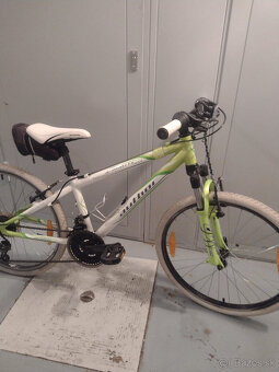 Bicykel AUTHOR A-Matrix 24" - 10