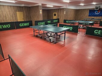 Stolný tenis - 10