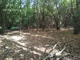 Pozemok na predaj, plocha 4607 m², Veľký Šariš - 10