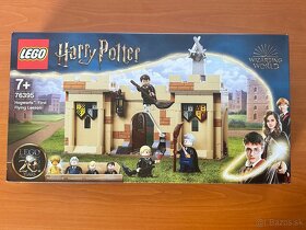 LEGO Harry Potter 20th anniversary - 10