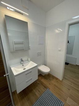 Prenájmom garzonky - 10