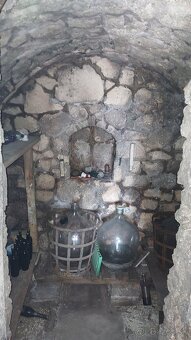 ZÁHRADNA CHATA S VINICOU, JABLONOV NAD TURŇOU - 10