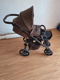 Roan coss - 10