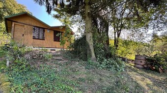 Na predaj chatka s krásnou záhradou – Trenčín, Pod Sekerou - 10