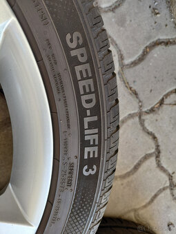 4x Skoda Octavia - pegasus - 10