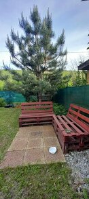 EXKLUZÍVNY PREDAJ-Záhrada s drevenou chatkou v Komárne - 10