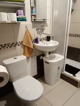 Jednoizbový byt v Banskej Hodruši, okres Žarnovica - 10