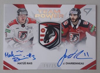 Hokejové kartičky SLOVENSKÁ HOKEJOVÁ LIGA 24/25 - HC PREŠOV - 10