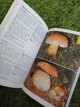 Huby - sprievodca prírodou - 10