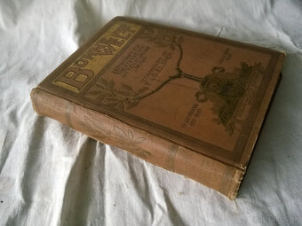 Secesia -Bühne und Walt - 10