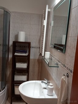 Prenájom 1 izbového bytu - 10