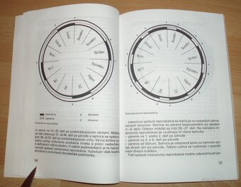 Intenzívny chov brojlerových králikov - 10