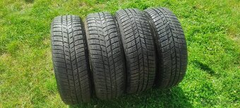 Barum Polaris 5 - 195/65 R15 - 10