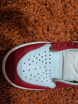 Nike Jordan 1Retro high lost and found - 10