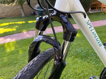 SPECIALIZED ARIEL 28 velkost M - 10