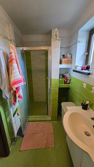 Pekný RD v Leviciach - Ul. Svätý Ján - pozemok 1912 m2 - 10