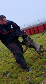 hotel pre psov, vycvik psov - 10