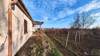 Viničný domček s veľkým pozemkom a krásnym výhľadom, Vráble - 10