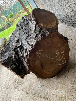 Orechové kmene, guľatina - 10