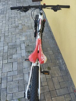 Specialized Epic - 10
