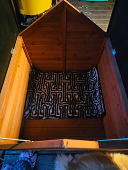 Pomeranian Mini - 10