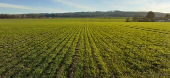 Mzuri ProTill 4T secí stroj- (pásové zpracování půdy) - 10