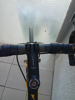 Radon spire 56" - carbon - 10