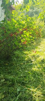 Chatka so záhradou - 10