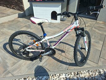 Dievčenský bicykel 24 - 10
