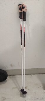 Lyže Fischer 110 - 10