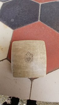 Skautský strieborny odznak. - 10