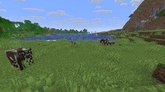 Predam Kockatu Kravu - 10