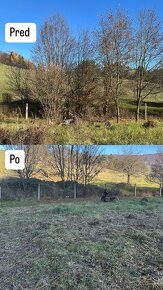 Komplexné vypratávanie a odvoz odpadu, čistenie pozemkov, - 10