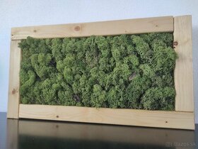 Predám obraz z machu: Obdĺžnik drevo M (54 x 29 cm) - 10