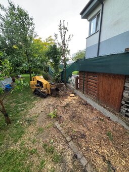 Kosenie/Strihanie/Údržba zelene/Pílenie /Drvenie - 10