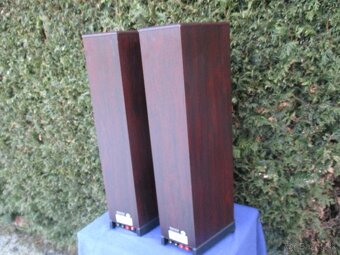 Tanoy 633 Rosewood D30 - 10