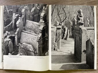Karel Plicka - Praha ve fotografii - 10