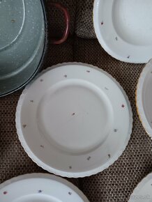 Starý lavór, taniere, misky, sklenené poháre - 10