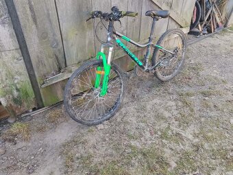 Bicykel Formula zelený - 10