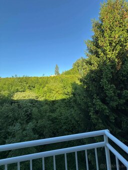 Na predaj krásny 3 izbový byt v Trenčianskych Tepliciach - 10