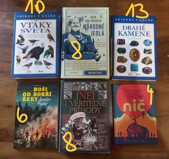 vi keelandova, penelope wardova, daniel silva a ine - 10