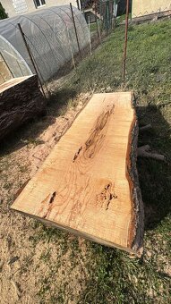 Jaseňové monolitické fošne – masívne platne na stoly a nábyt - 10
