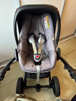 Kocik Bebetto Torino - 10