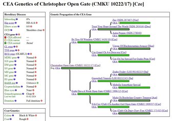 Šteňatá s PP - Border kólia / kolia - již k odběru - 10